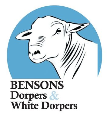 Benson Dorper Logo