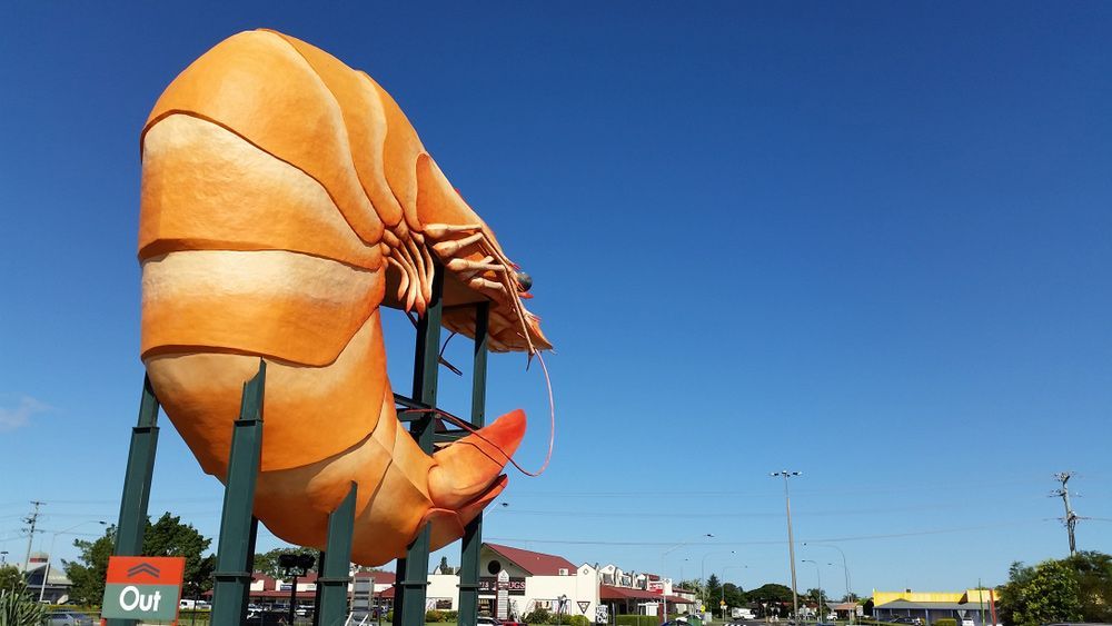 A Statue of a Shrimp With a Sign That Says Out — RM Scaffolding Solutions in Ballina, NSW