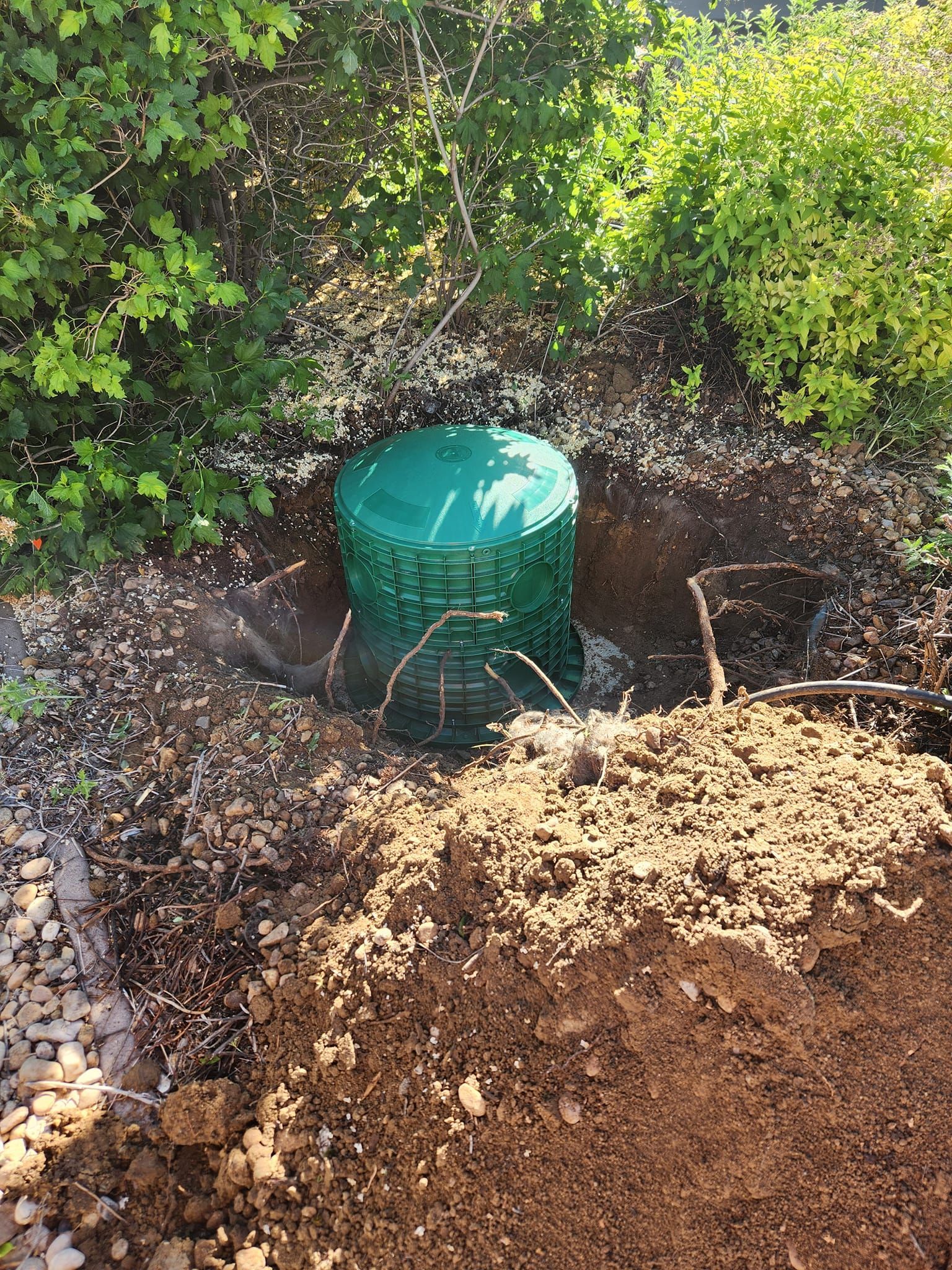 Green utility box in a dirt hole, surrounded by brown soil, plants, and small rocks.
