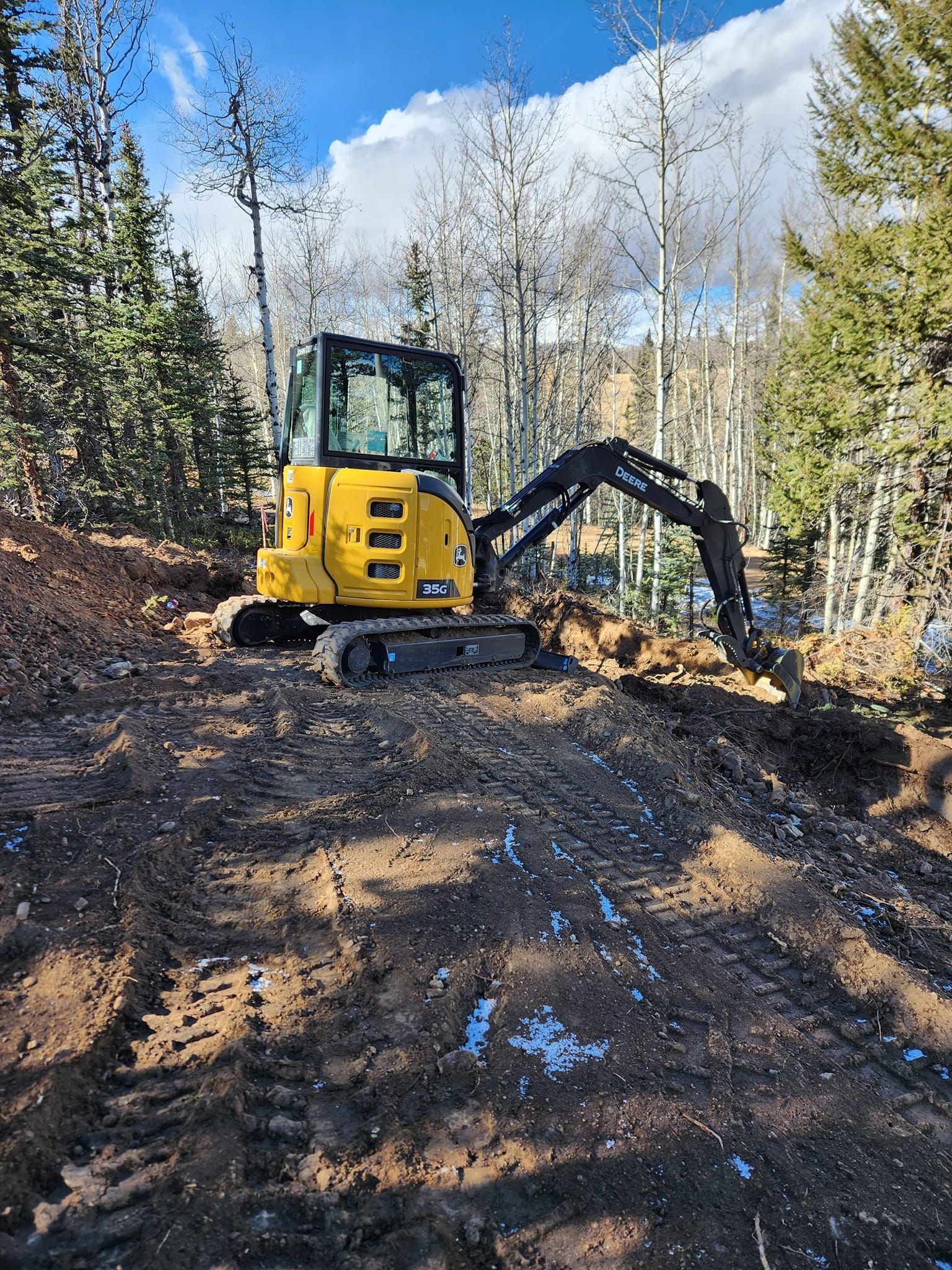 Yellow excavator digging in a dirt area, surrounded by trees and a bright sky.