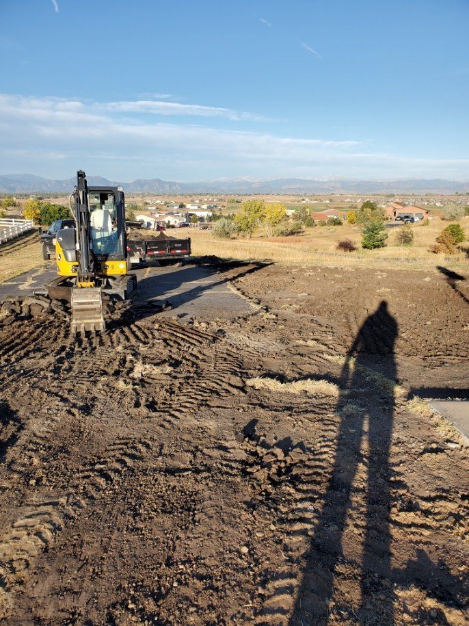 Excavator on a brown dirt field under a blue sky, with the shadow of a person.