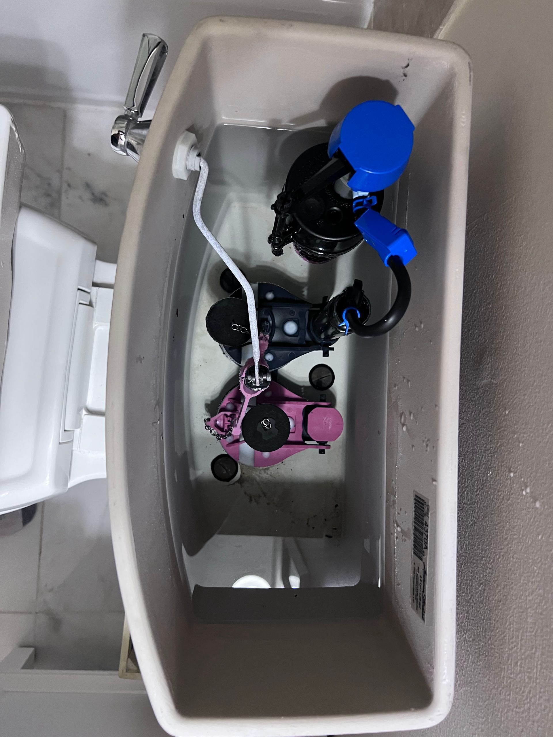 An open toilet tank showing the internal flushing mechanism, including a blue fill valve and a pink flush valve.