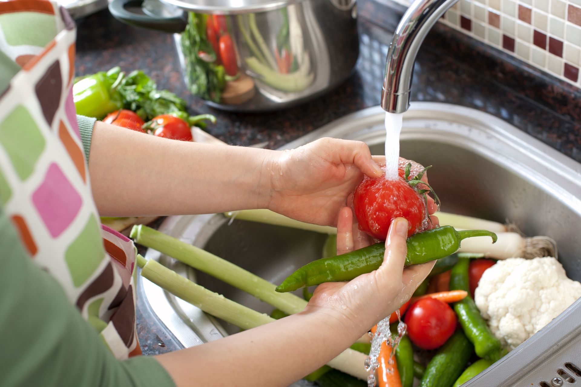 Washing fruits and vegetables in a sink with filtered water in Virginia.