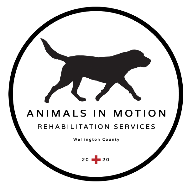 Animals in Motion Rehab Logo