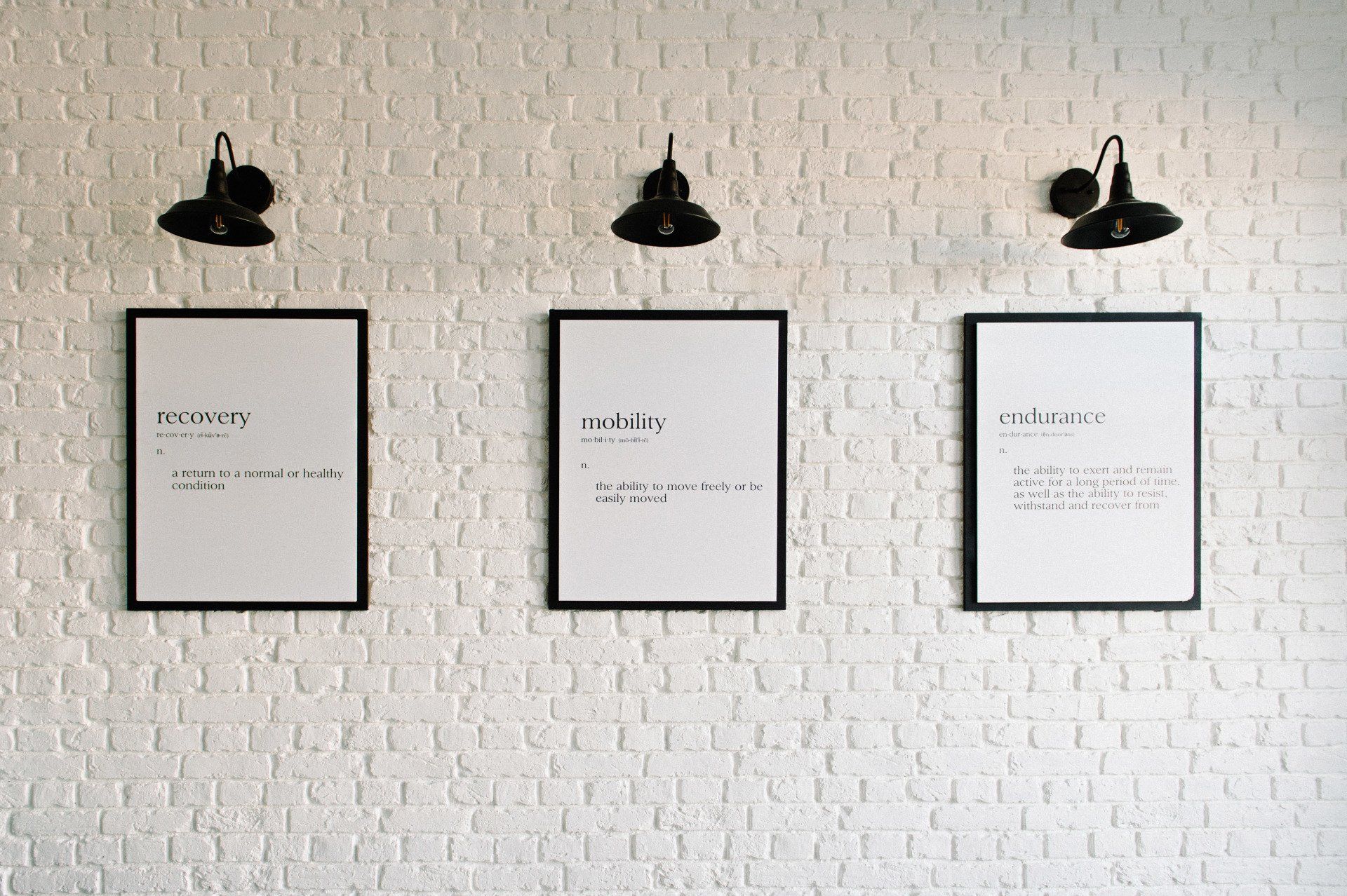 Wall art at Animals In Motion Rehab