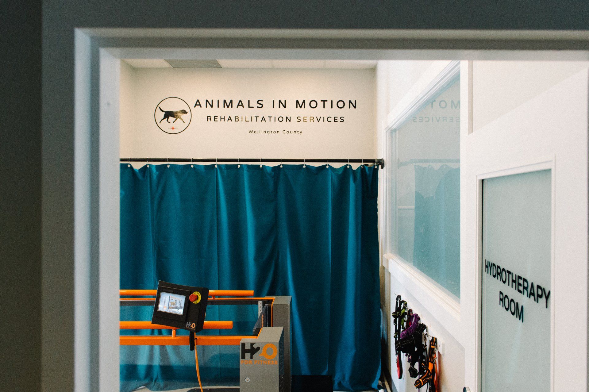 Underwater treadmill room