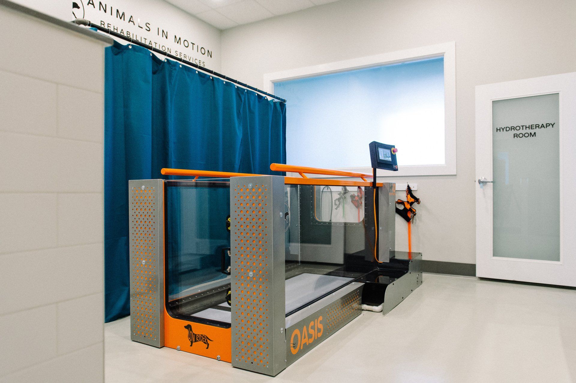 Underwater treadmill