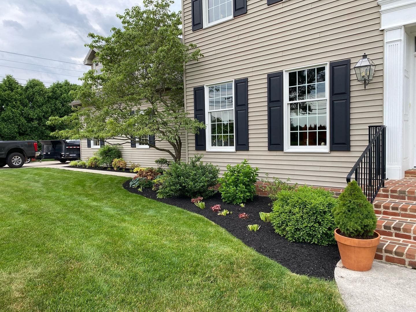 New Plants in Front Yard