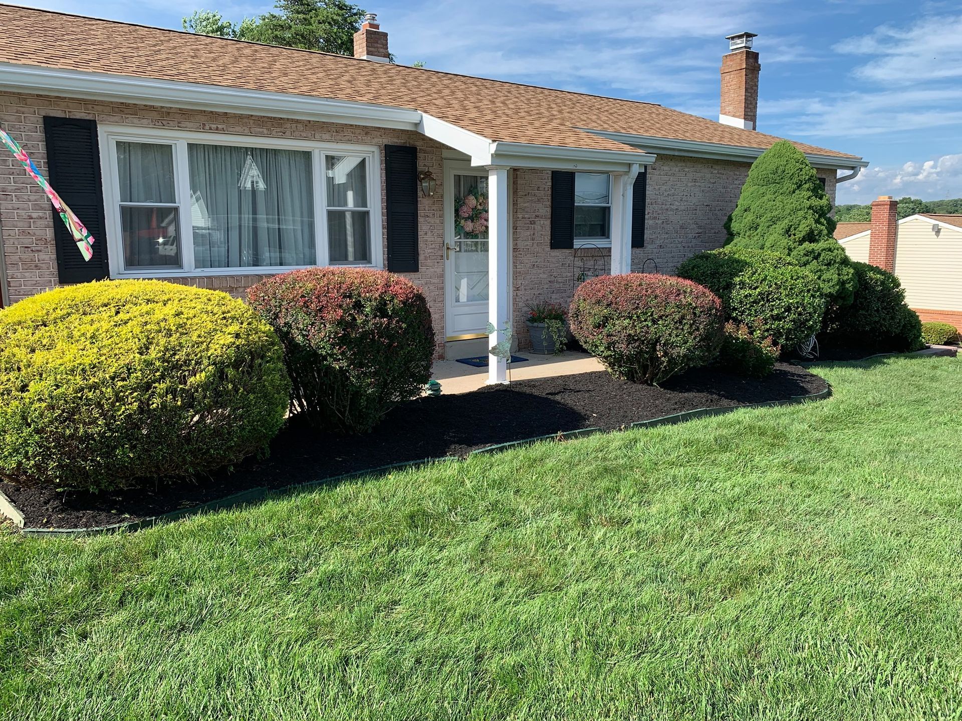 New Shrubs in Front Yard