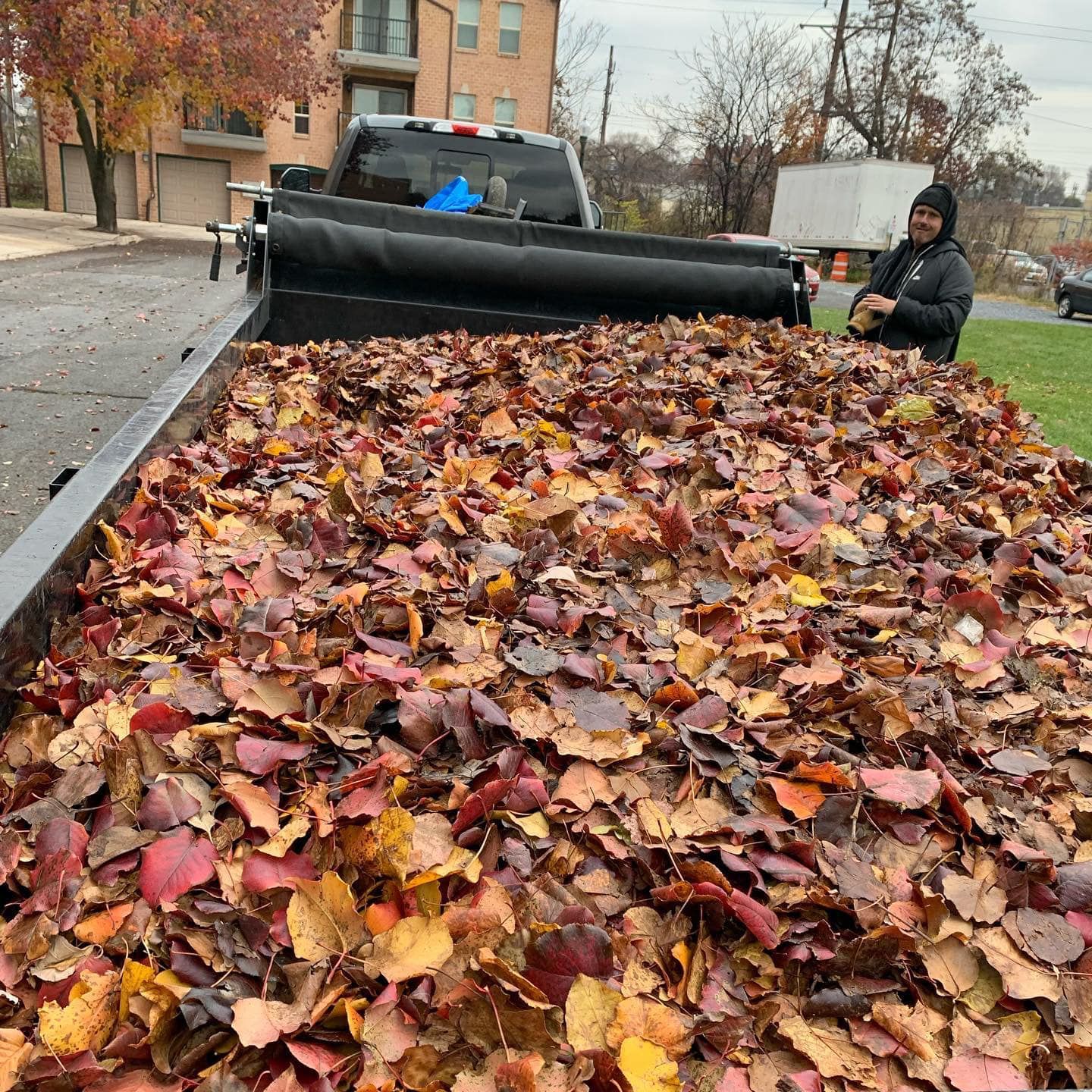 Truck Full of Leaves