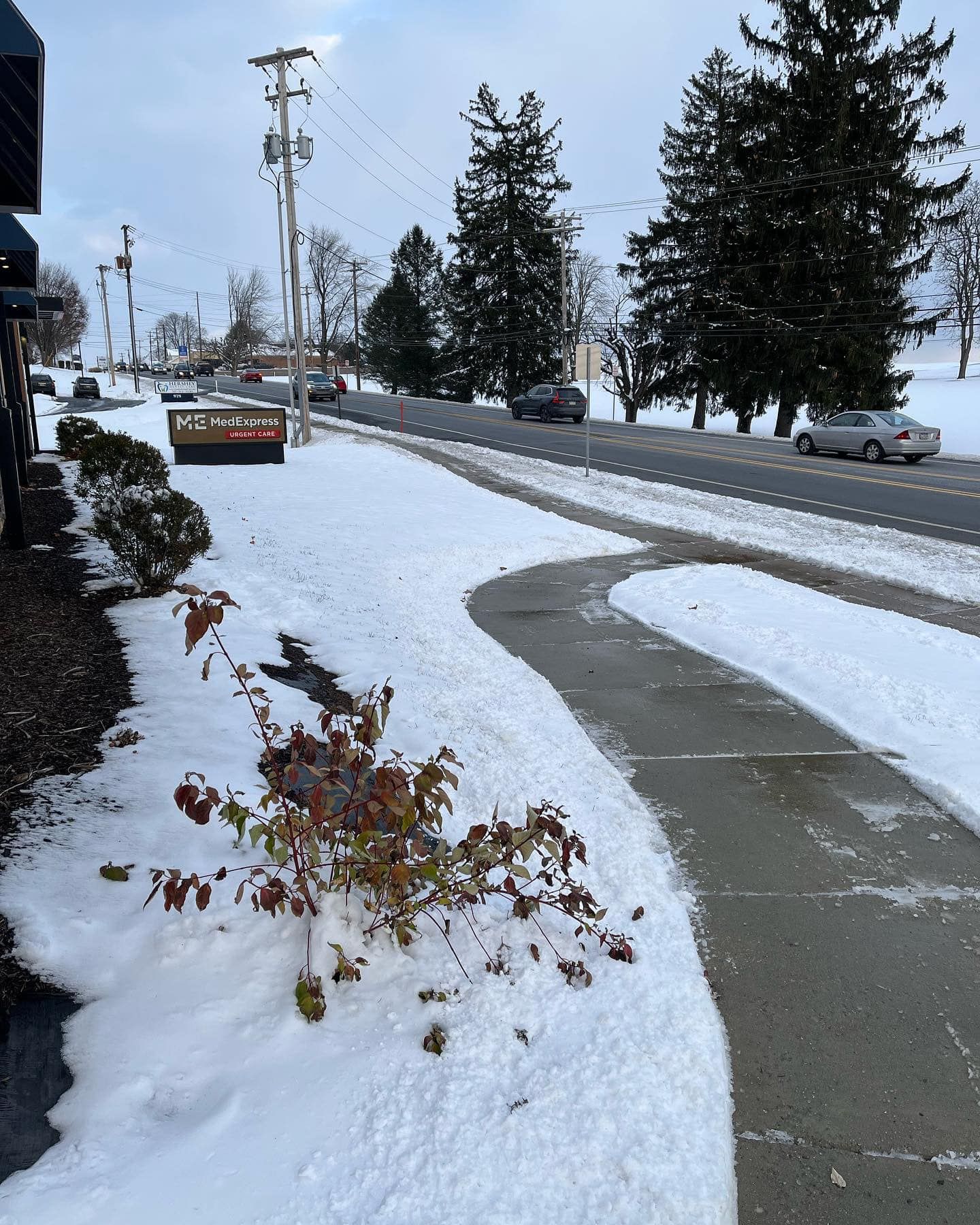 Walkway Clear of Snow