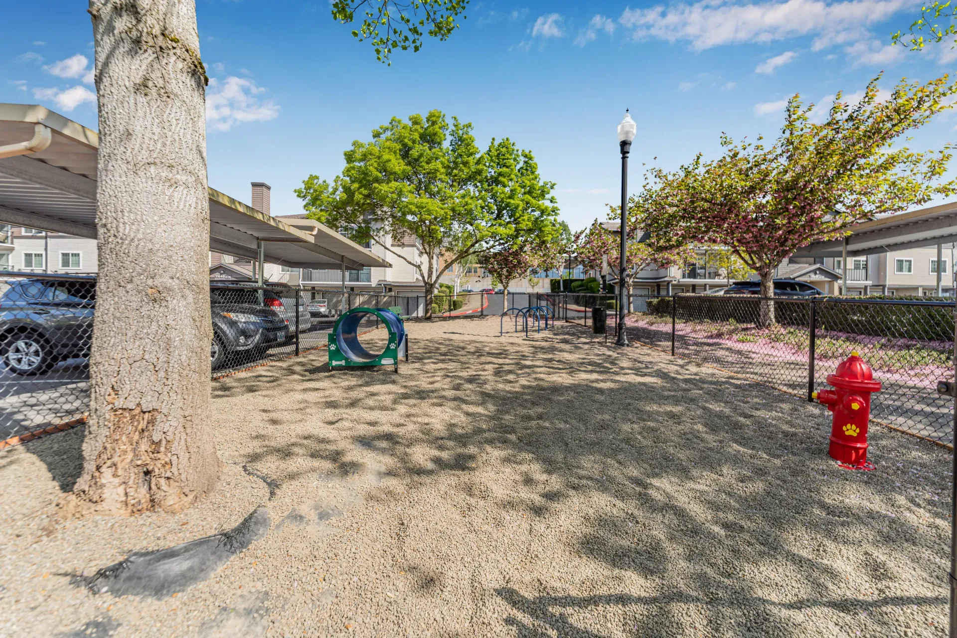 Outdoor community playground area with trees, a chain-link fence, and play equipment.