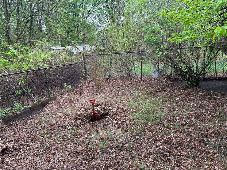 Leaf-covered backyard with a small red-topped stake in the center, bordered by trees and a chain-link fence