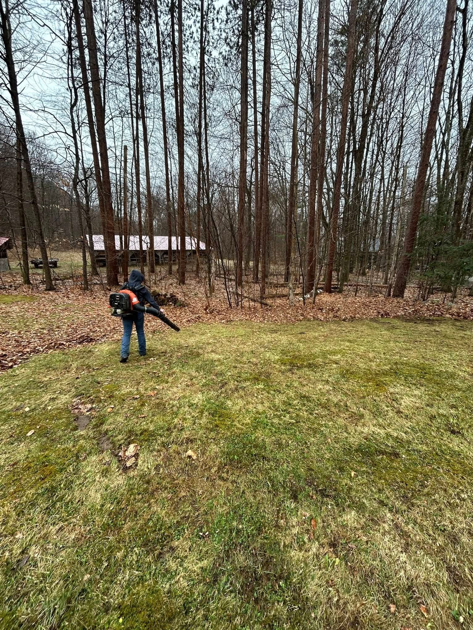 Person with a tripod in a grassy clearing near tall leafless trees.
