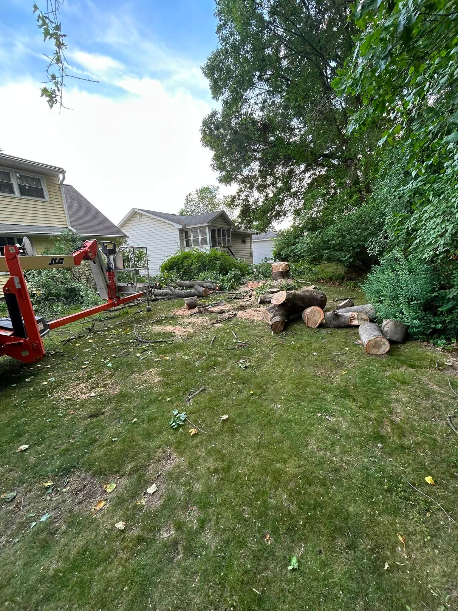 Backyard with grassy lawn, trees, stacked logs, and a red swing set beside a house