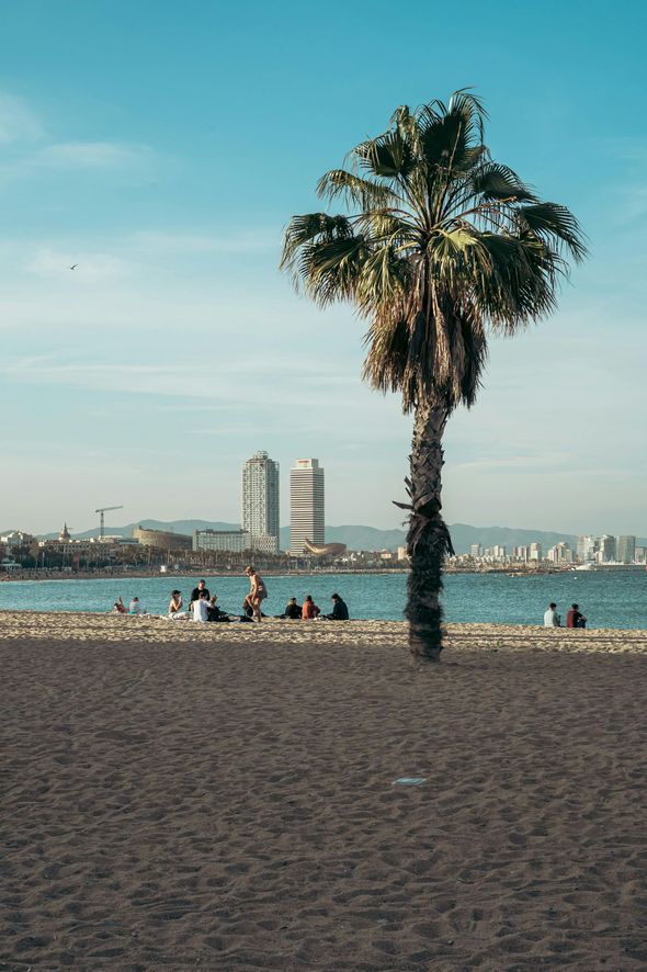 barcelona beach transport day trips