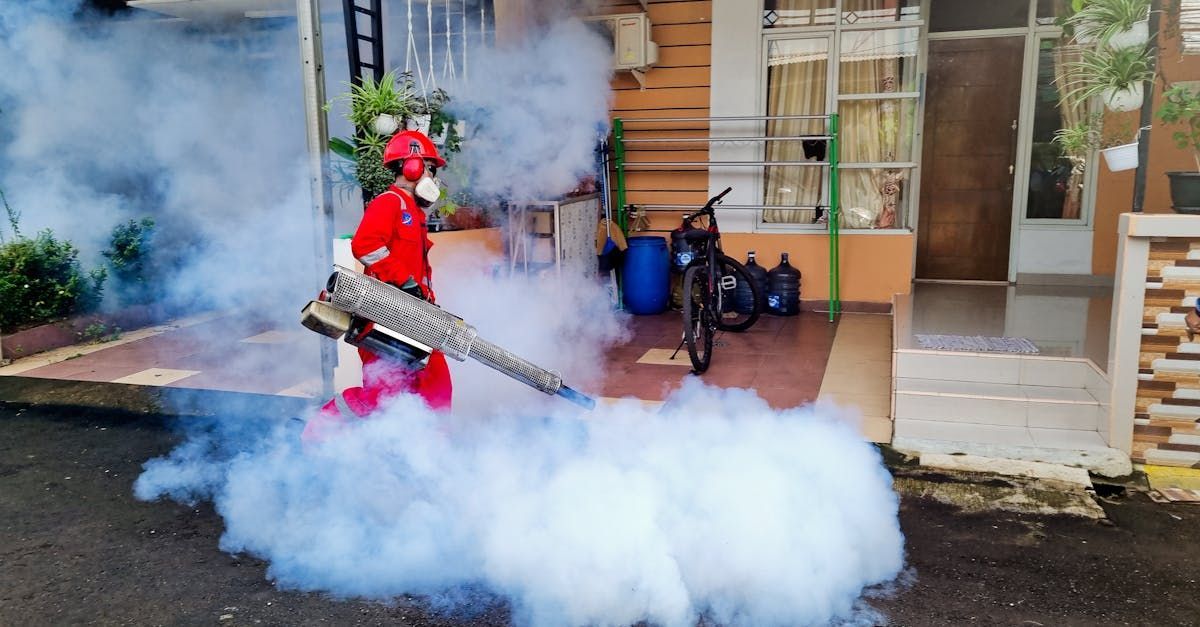 A man is spraying smoke in front of a house.