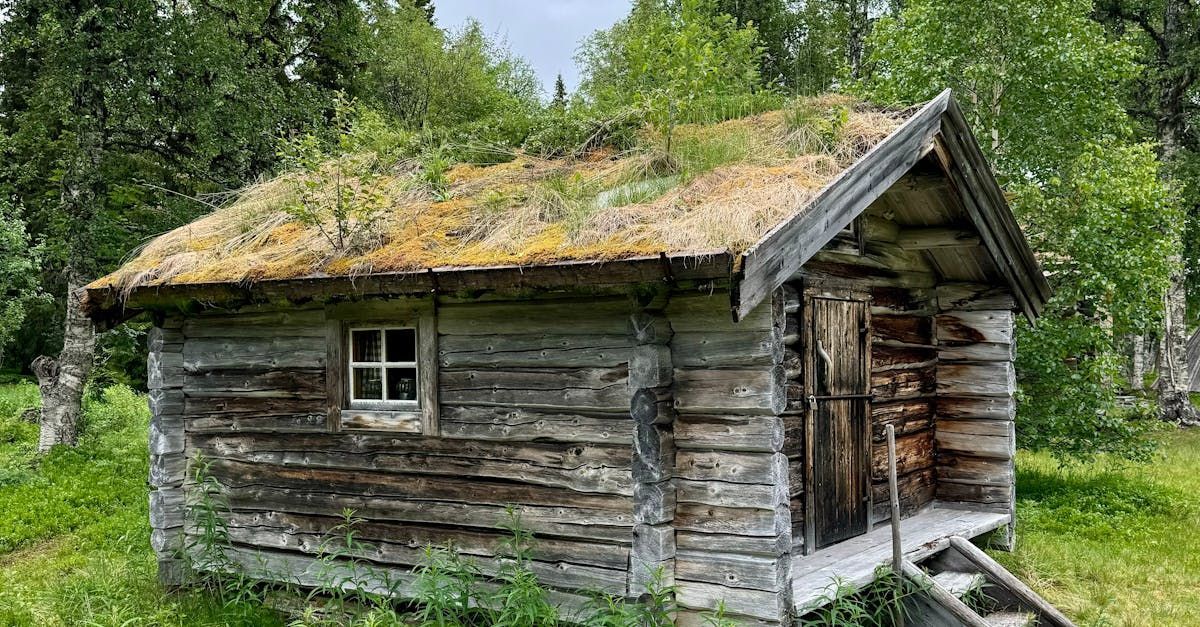 An old log cabin with a mossy roof in the middle of a forest.