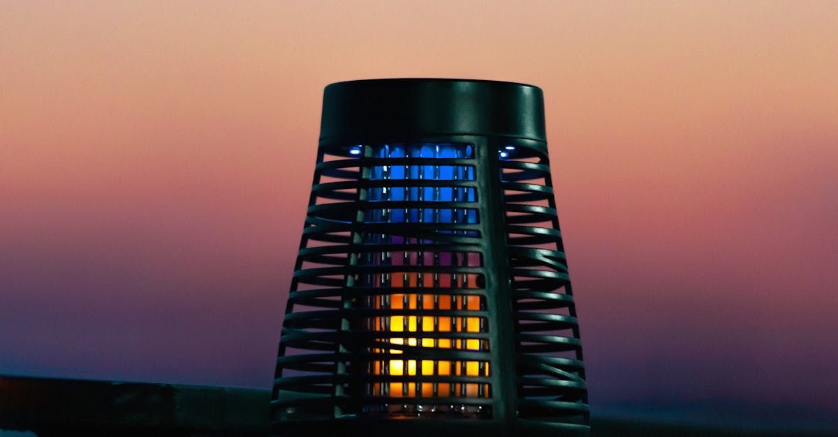 A close up of a mosquito killer with a sunset in the background.