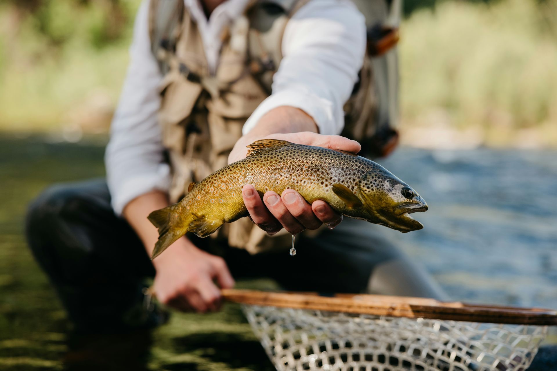 Hands holding trout over water Snake River fishing Huntington Oregon