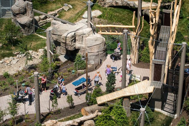 Cleveland Metroparks Zoo Rosebrough Tiger Passage | DVA Architecture