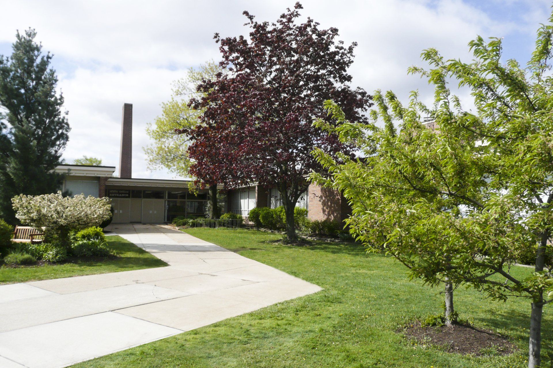 A house with a driveway and trees in front of it