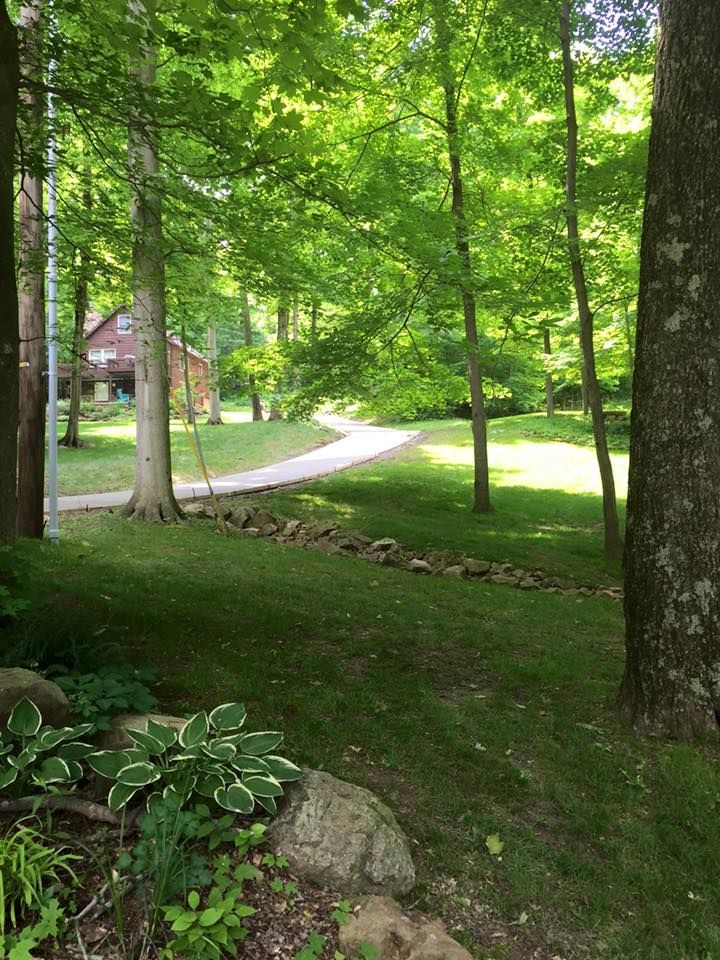 A path going through a lush green forest with a house in the background.