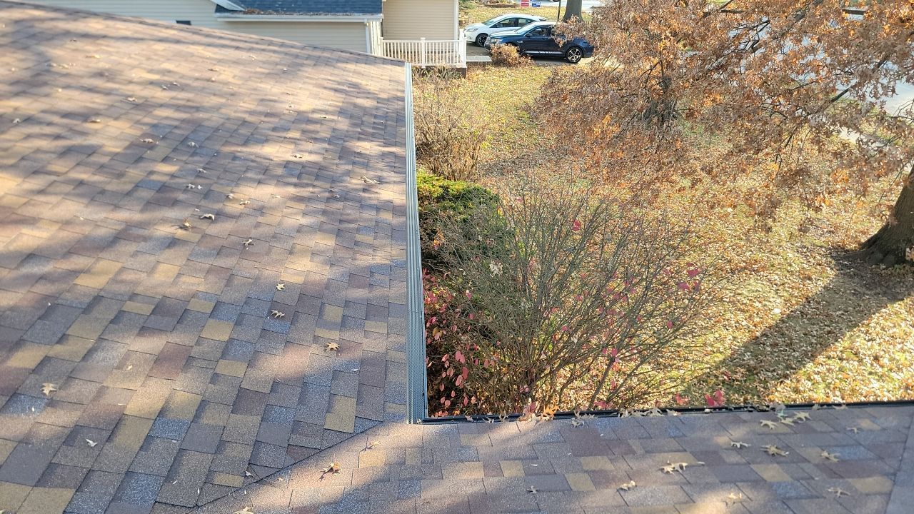 A brick driveway with a bush in the middle of it.