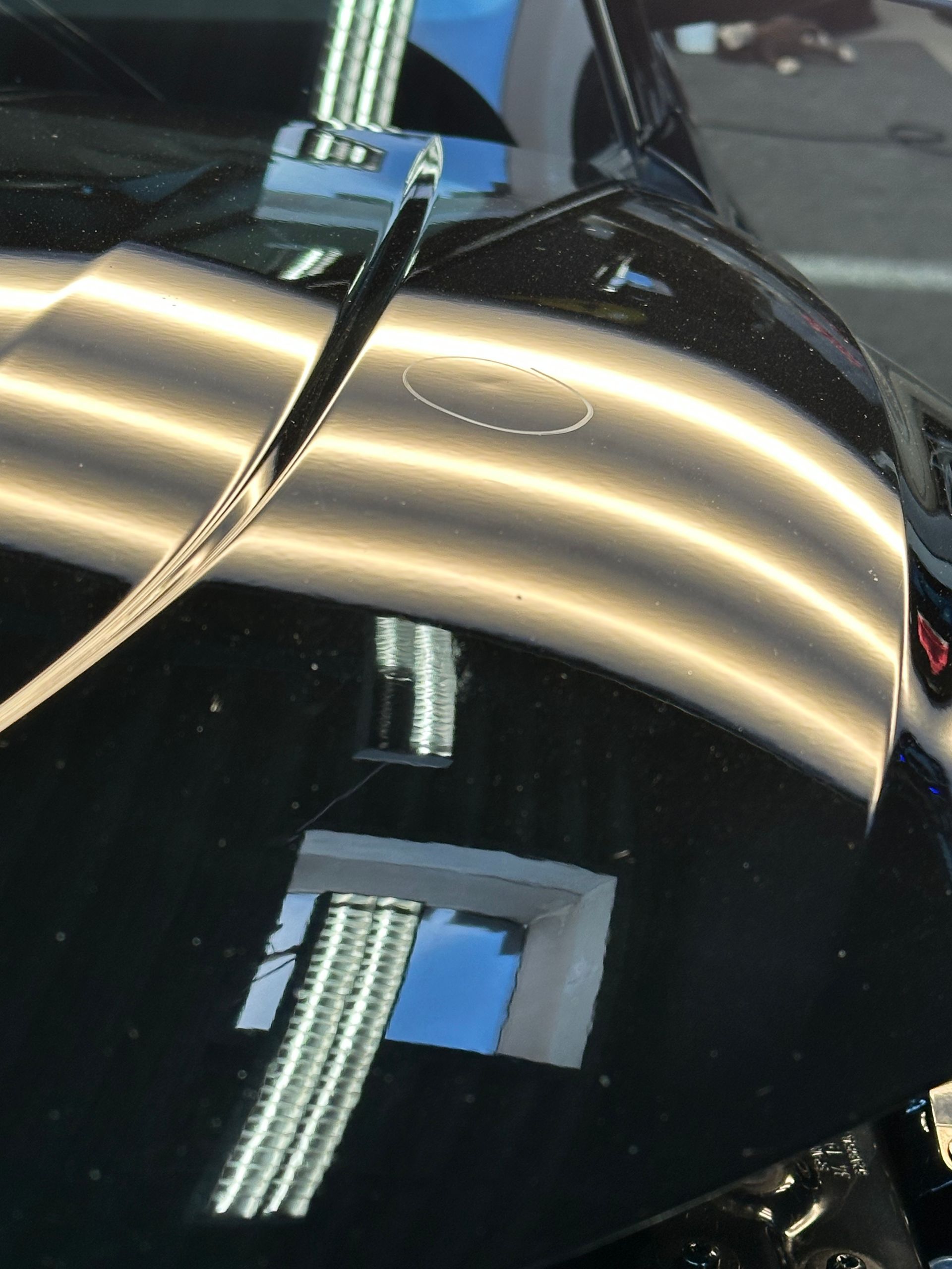 Delle in der Motorhaube