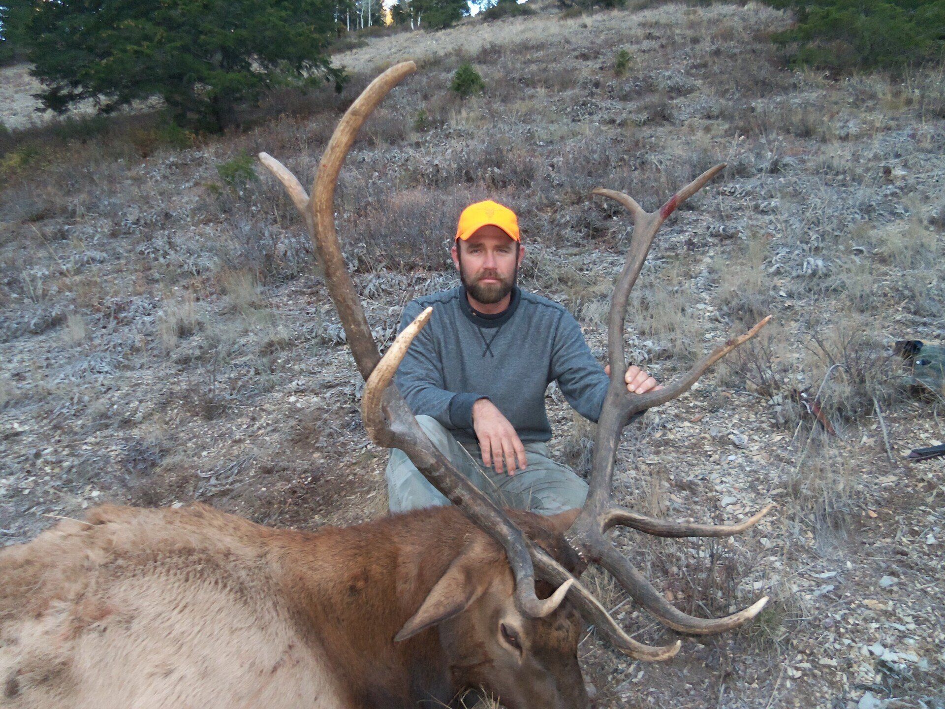 Man kneeling beside a harvested elk with large antlers in a hillside setting.