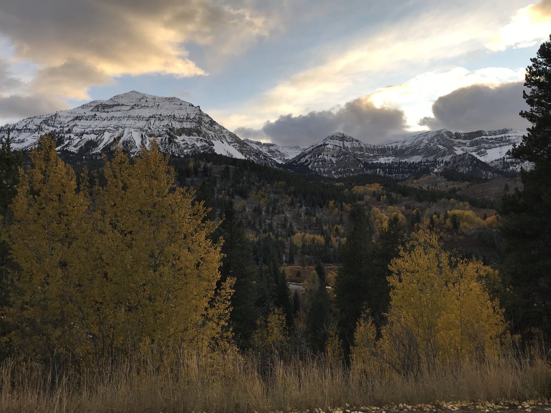 Snow-capped mountains and autumn trees under a cloudy sky.