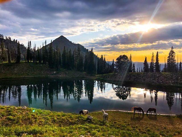 Lake and mountain landscape with horses grazing at the water's edge at sunset.