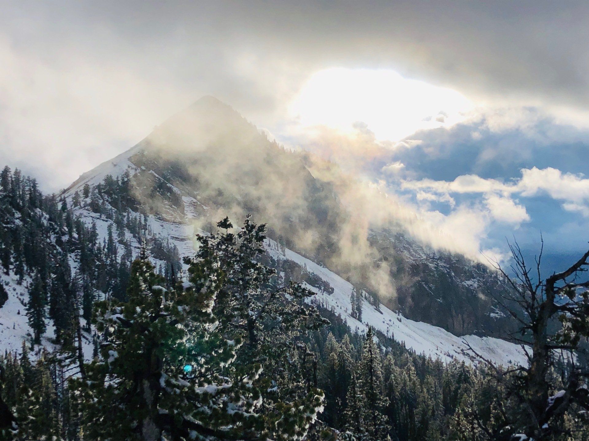 Snow-covered mountain peak peeking through clouds, sun shining, trees in the foreground.