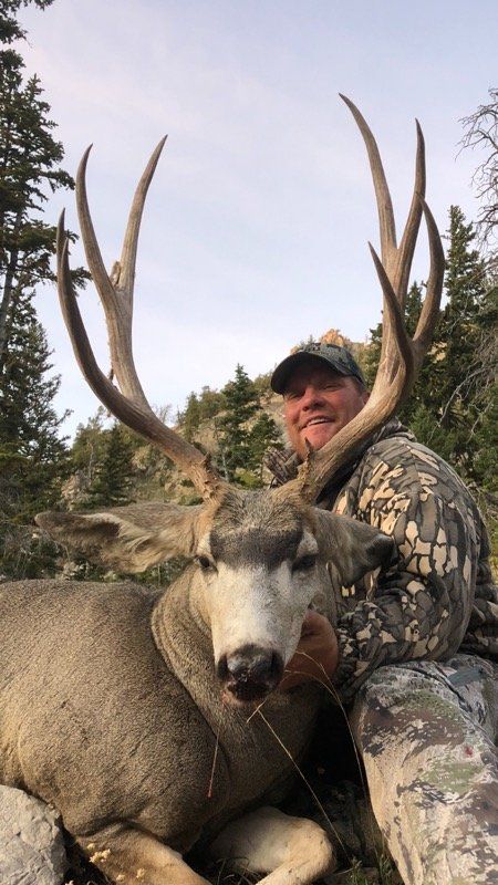 A man is standing next to a large deer with antlers.