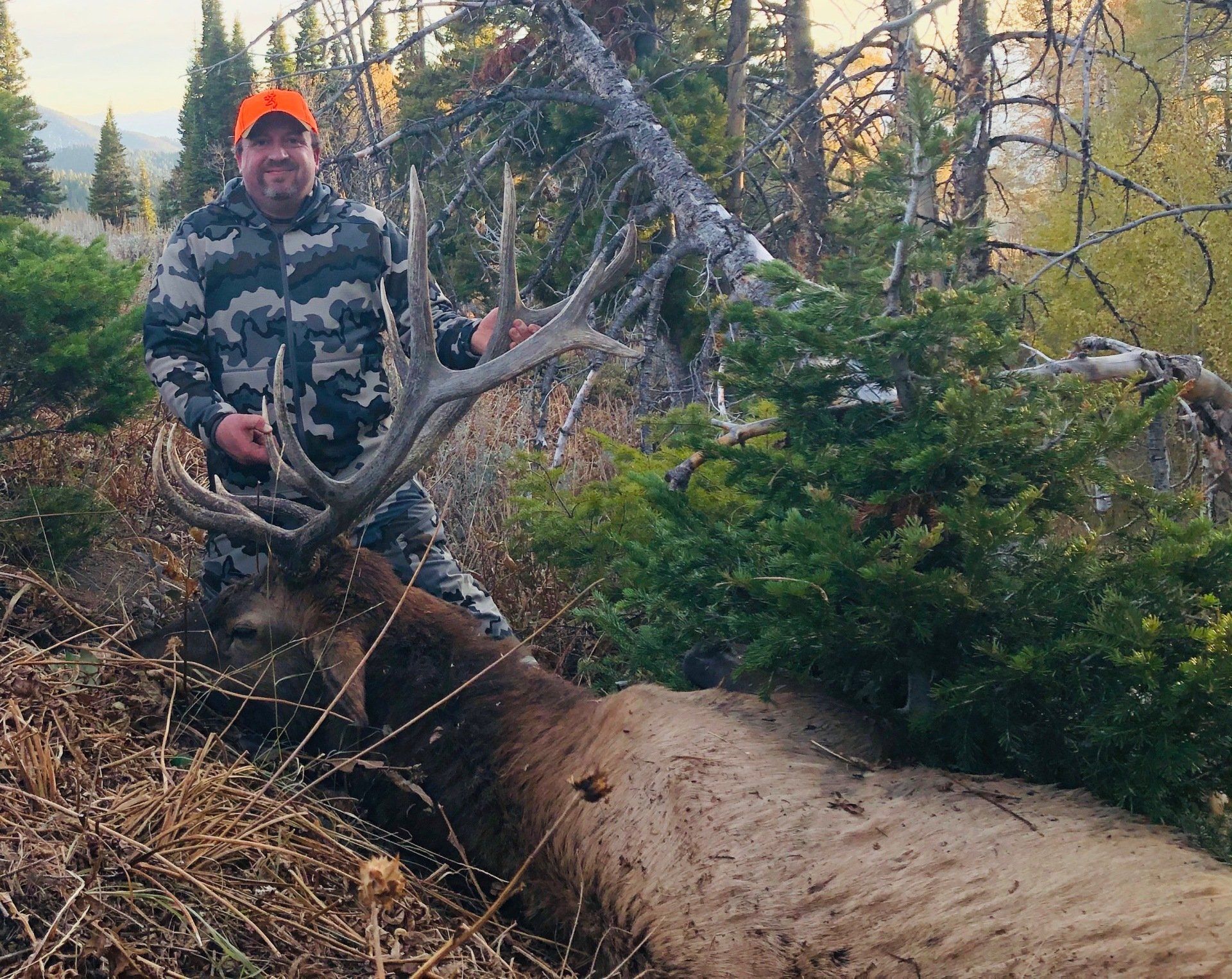 South Dakota Elk Hunting Non Resident 32 - 7d8h6ut