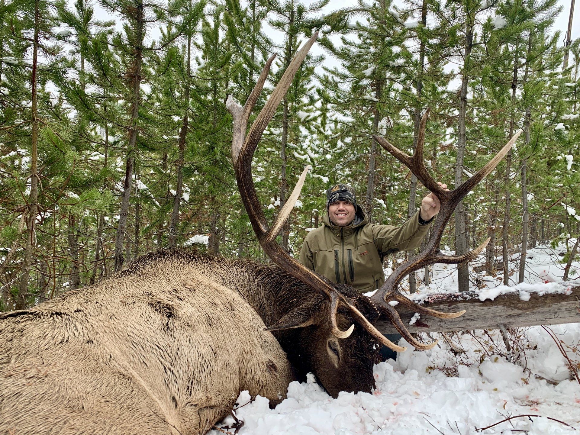 wyoming-elk-hunting-pictures