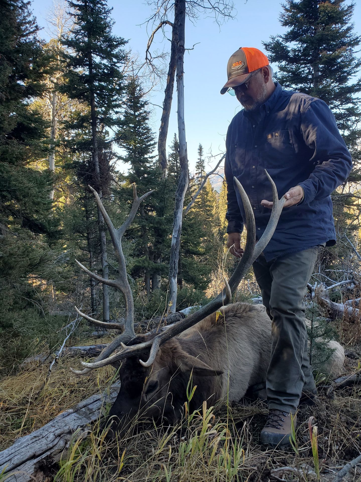 South Dakota Elk Hunting Non Resident 32 - o5nb6bp