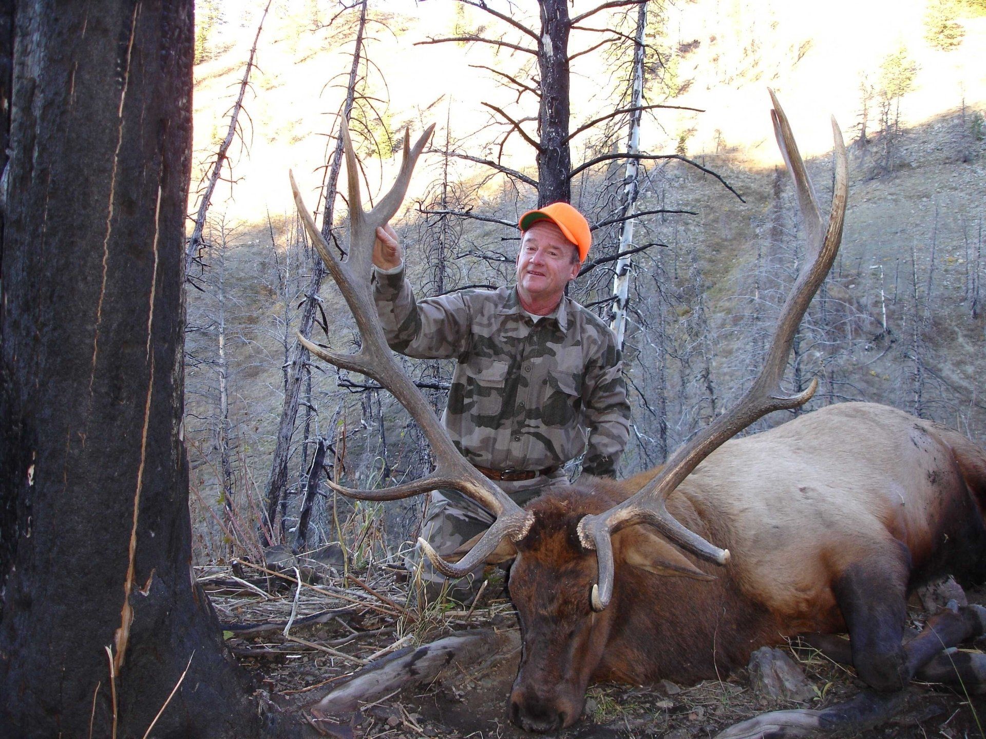 Hunter in camouflage with a large elk, outdoors in a forest.