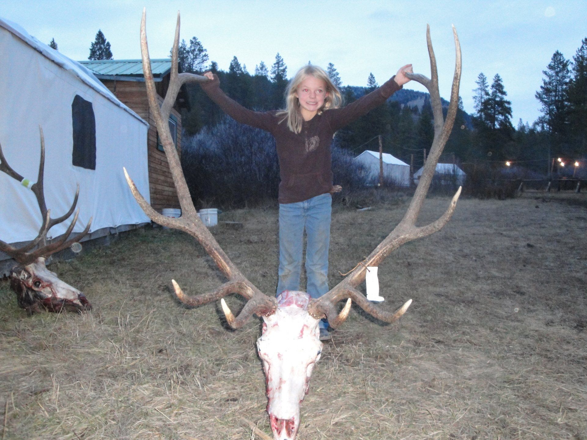 Girl standing behind an elk skull with large antlers, arms outstretched. Outdoor setting with tents and trees.
