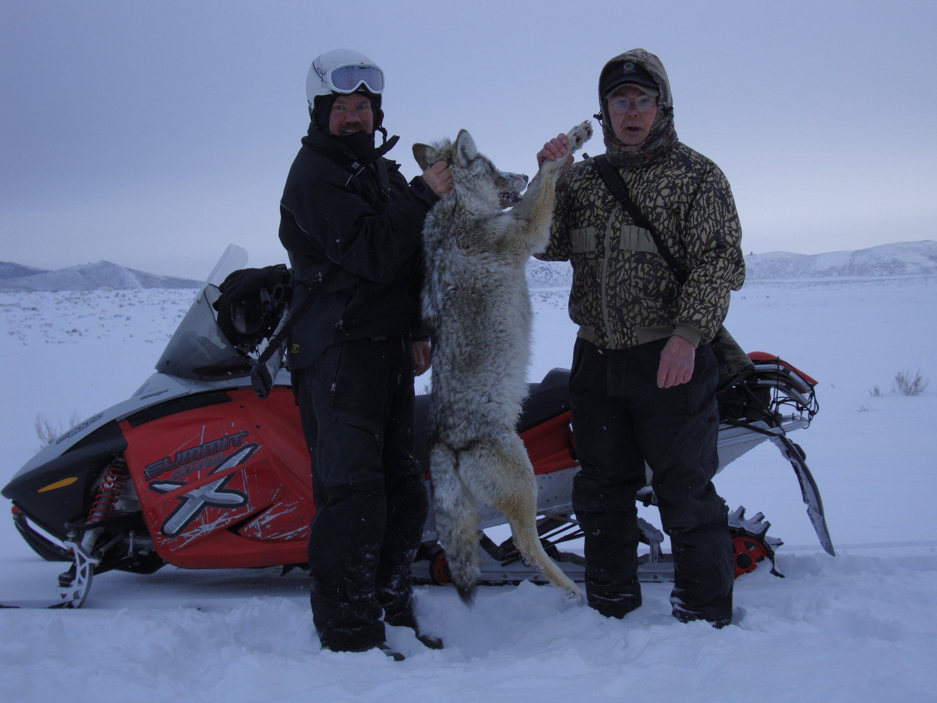 Two men holding a wolf in front of a snowmobile