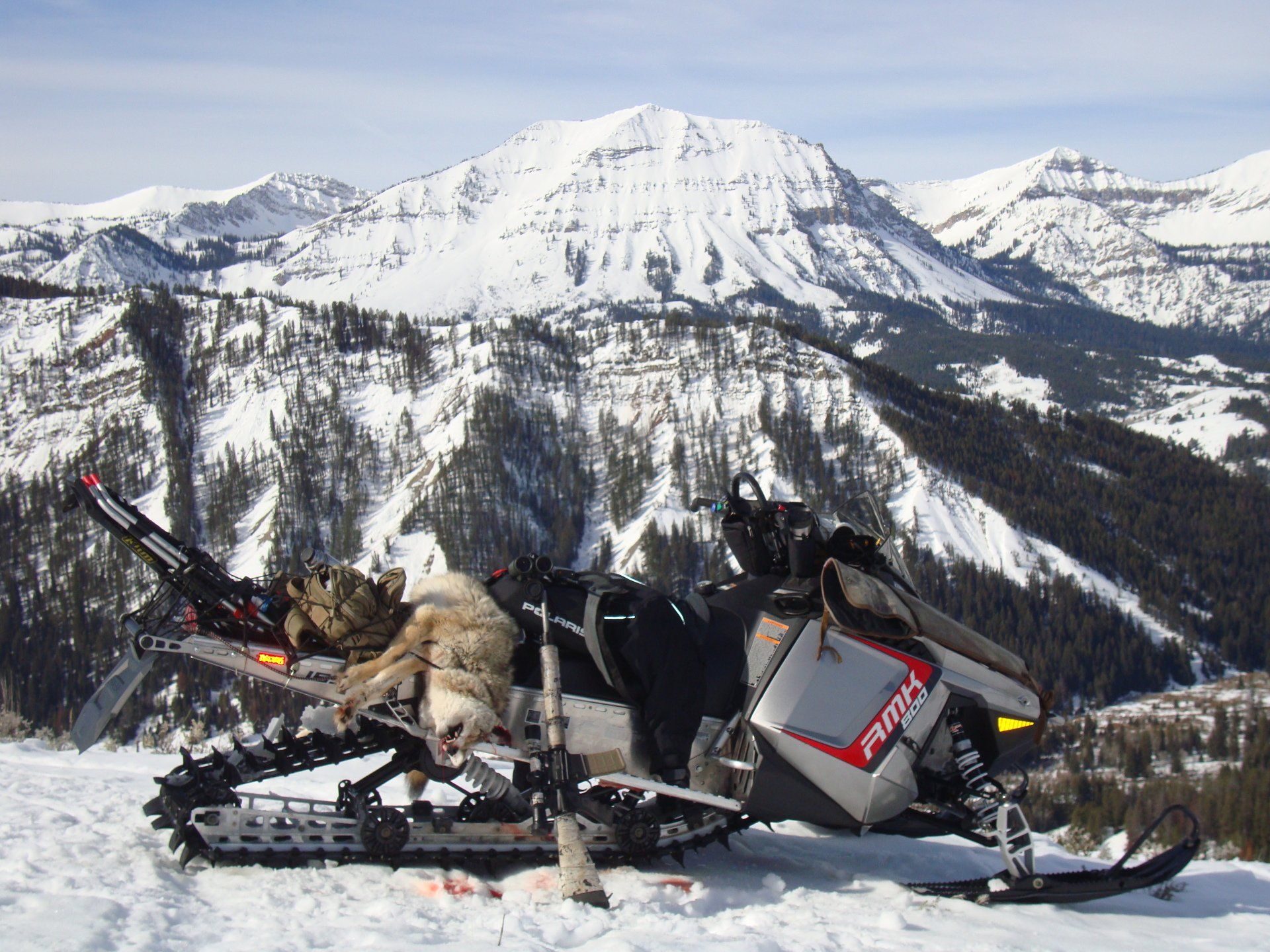 A snowmobile with the word polaris on the side