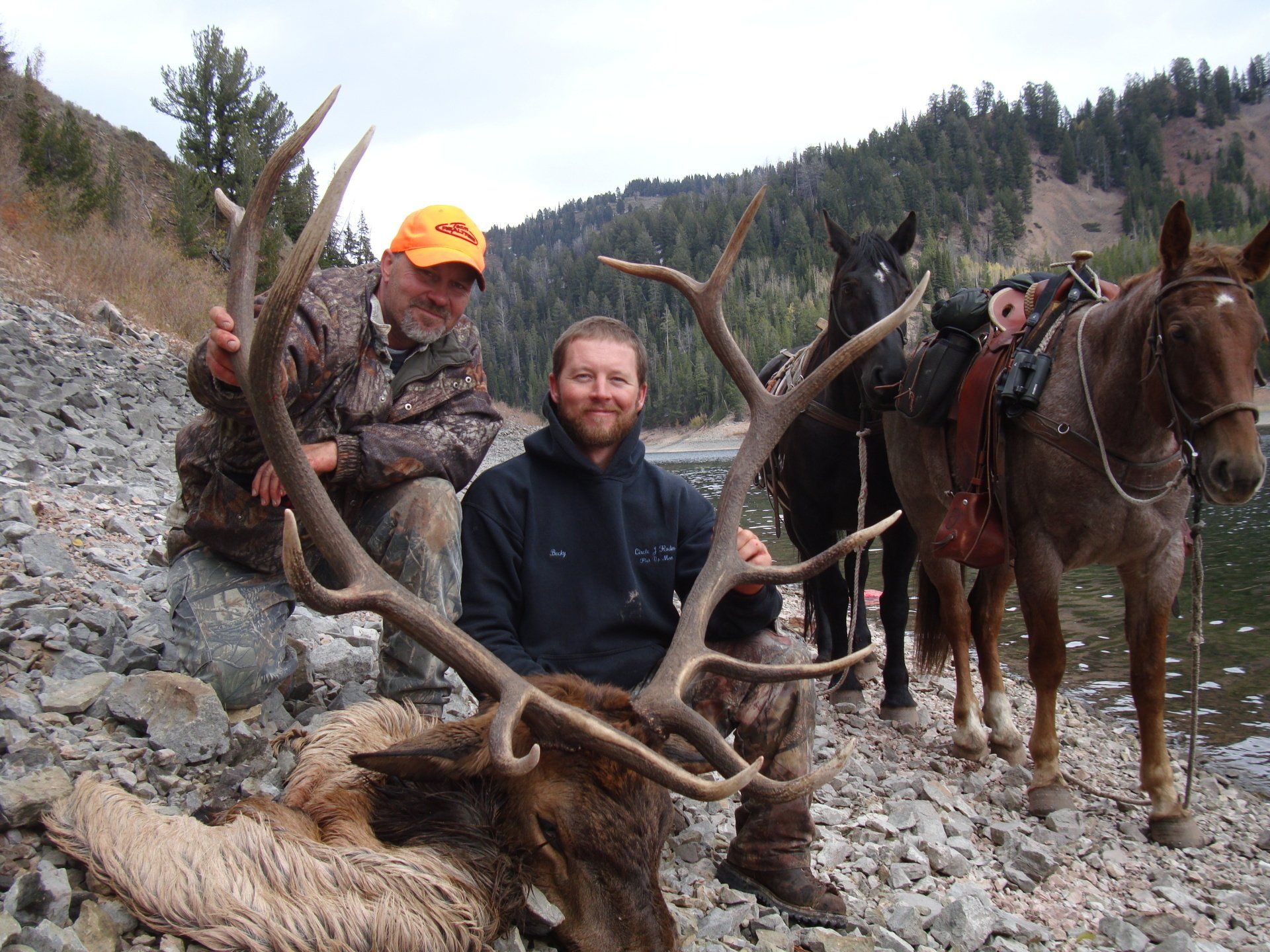 Two men pose with a large elk and mules near water; one wears camo and orange hat.