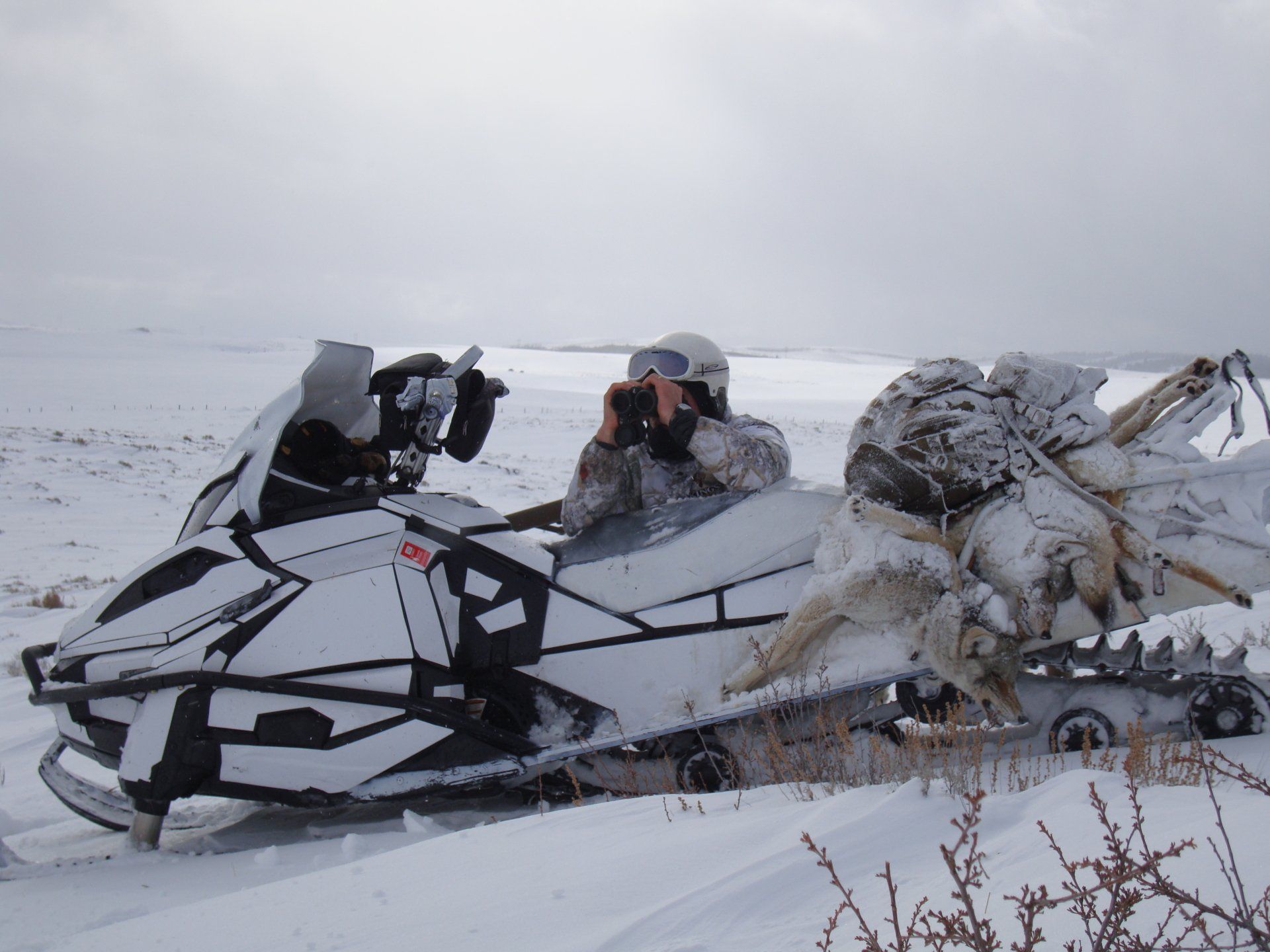 A snowmobile with the letter r on the side