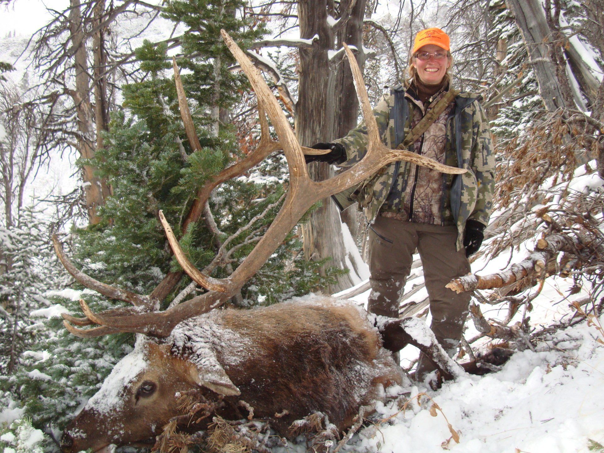 Person in camouflage with elk it shot. Snowy forest setting.