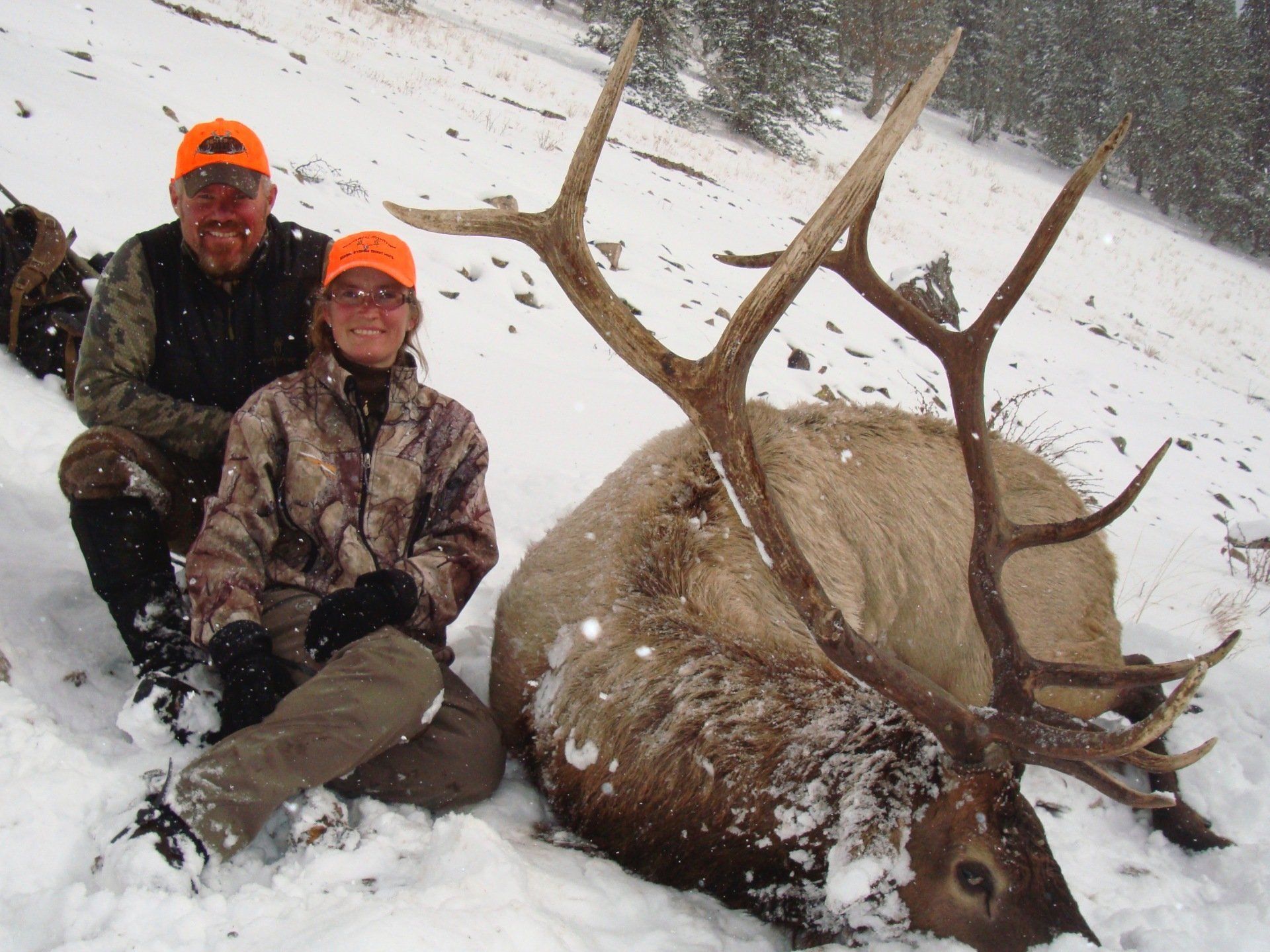 Two people in camouflage sit with a large elk in snow. They wear orange hats, smiling.