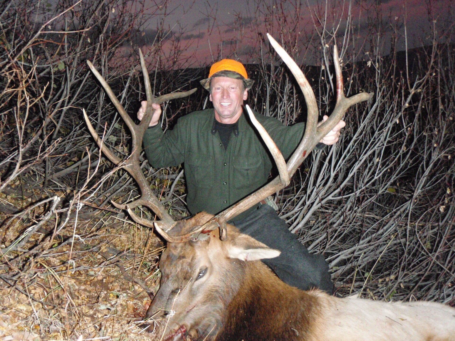 Man sits atop a harvested elk, holding its large antlers. He wears an orange hat and smiles outdoors.