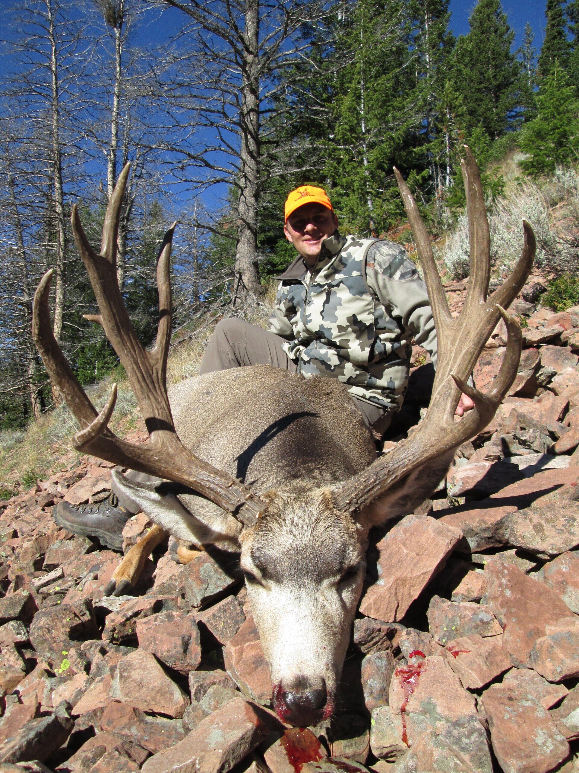 WYOMING MULE DEER HUNTING