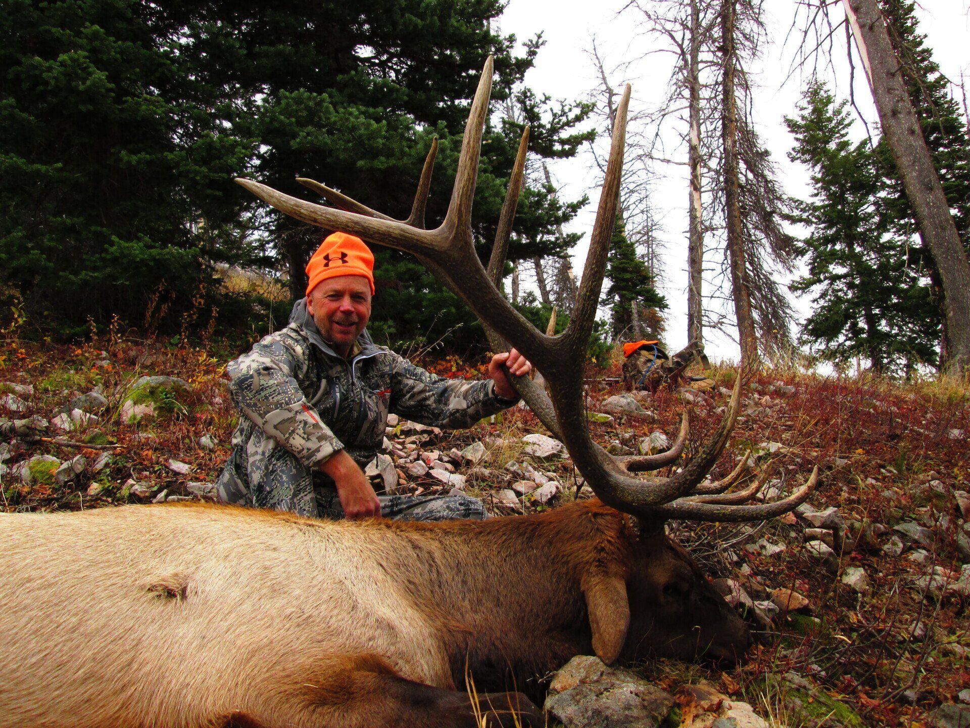 Hunter in camouflage with a large elk, outdoors in a forest.