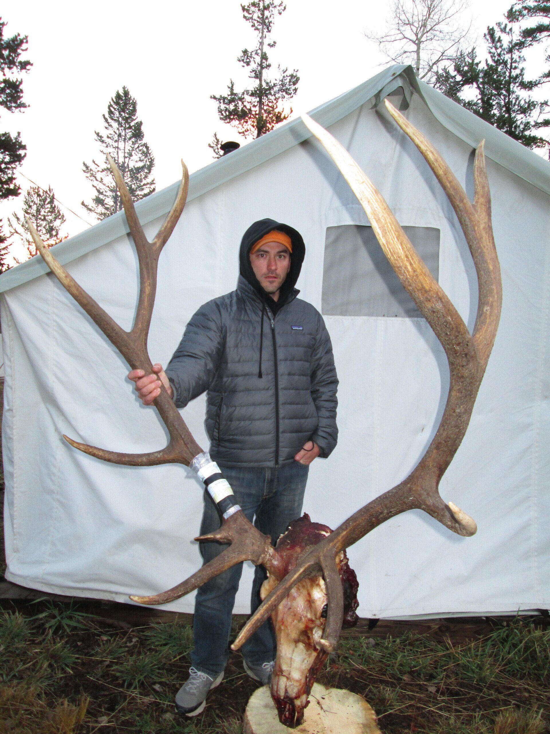 Man holding large elk antlers next to elk skull; campsite setting.