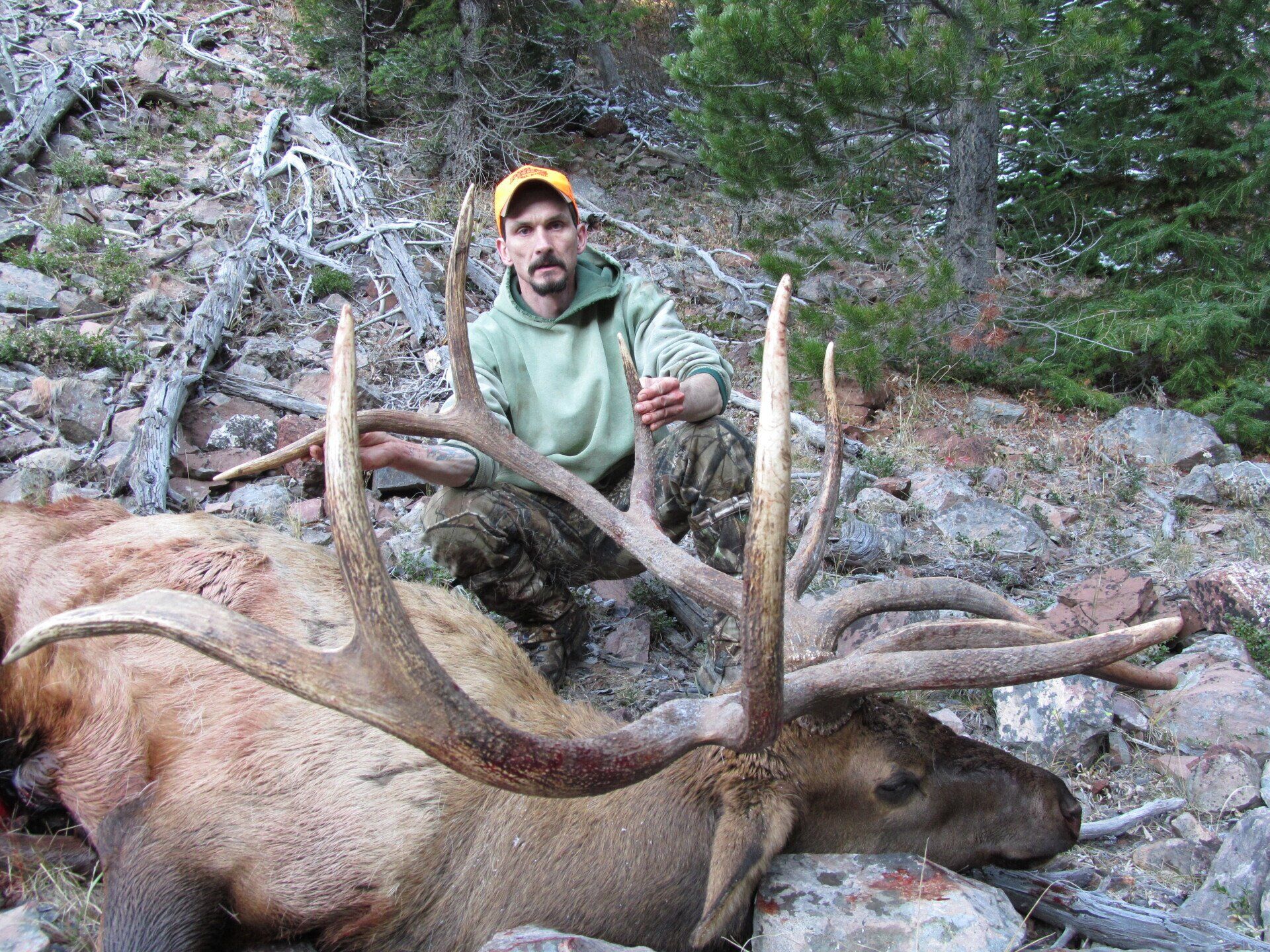Man in camo beside a large elk with impressive antlers on a hillside.